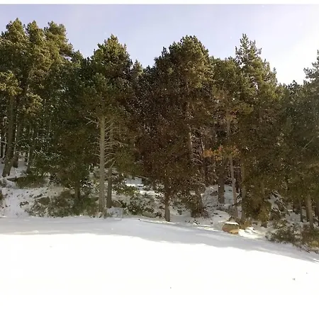 Lumineux, Terrasse, Lisiere De Foret Egat