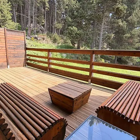 Lumineux, Terrasse, Lisiere De Foret Daire
