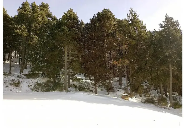Lumineux, Terrasse, Lisiere De Foret Egat